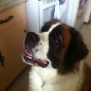 Meet your Posher, Kristie